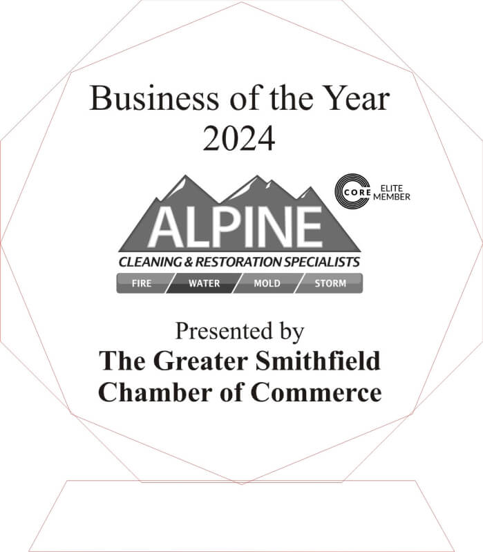 Business of the Year Award